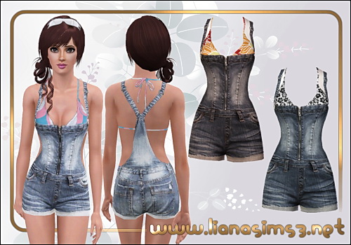     3   Sims3pack -  6