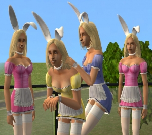 Замена соцкролика (Sims 2)